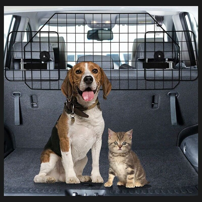 Image-OMINS:75985