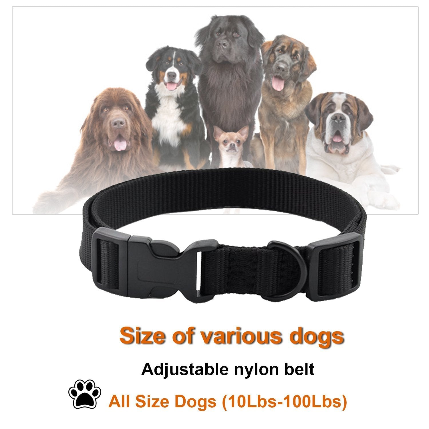 Image-OMINS:17931