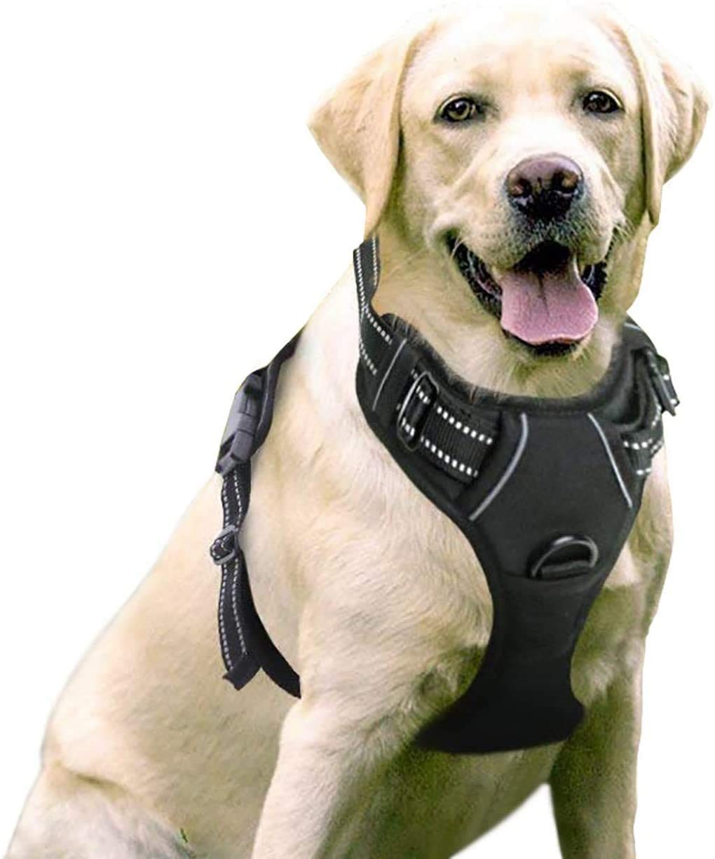 Image-OMINS:42860