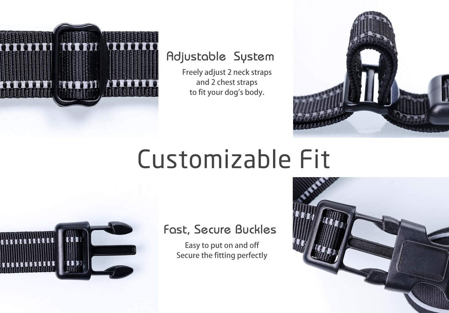 Image-OMINS:42864