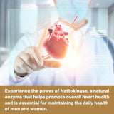 Nattokinase - Supports Heart And Blood Vessel And Promotes Blood Circulation