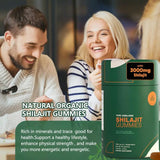 Shilajit Soft Capsules Himalayan Natural Mineral Deposits Organic Rich Minerals Health Support
