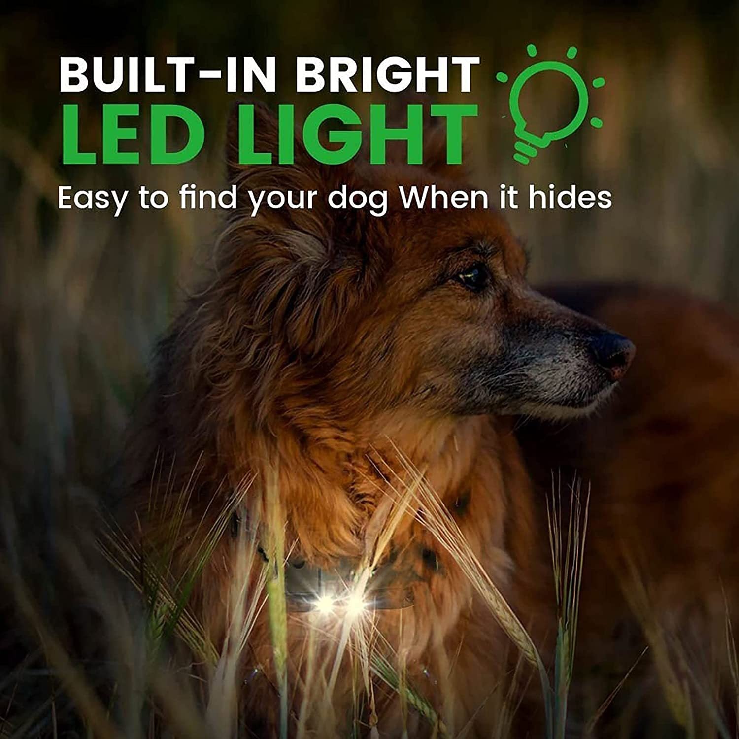 Image-OMINS:55930