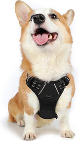Image-OMINS:42870